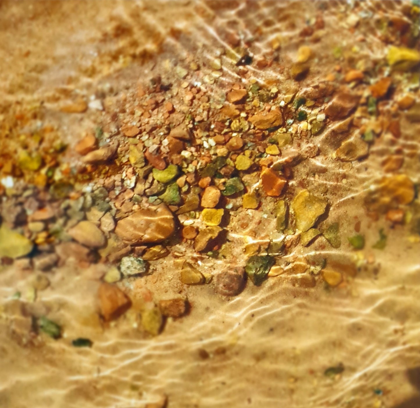 Tavla "Solblänk" Fotoprint på Canvas