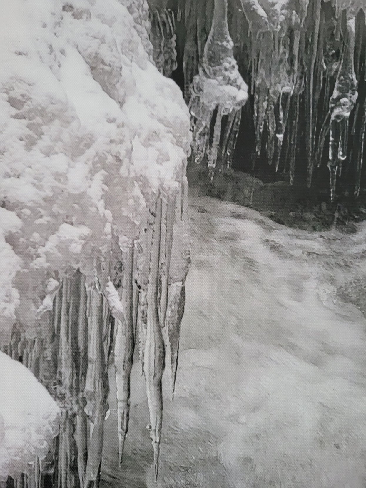 Tavla "Naturens magi" Fotoprint på Canvas